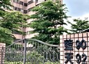 新店區-新坡一街3房2廳，51.7坪