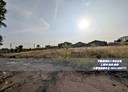 大肚區-土地，2300坪