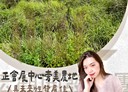 南投市-土地，1000坪