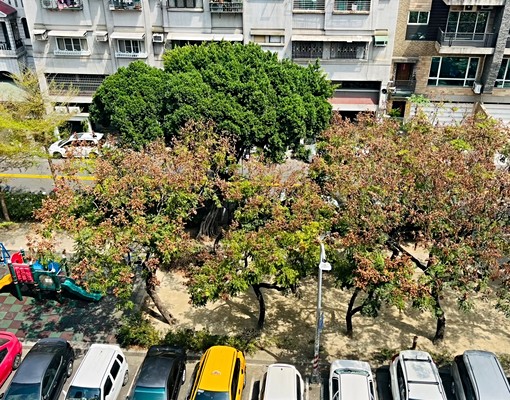 陽明國中學區中高樓層景觀3房車位 - Image 2