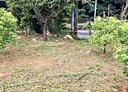 龍潭區-土地，171.8坪