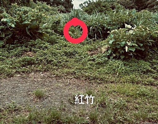 物件圖片