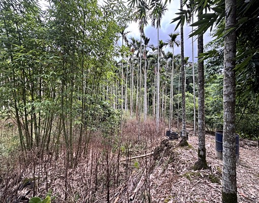 物件圖片
