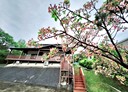 苗栗市-姜麻坑其他，53.4坪