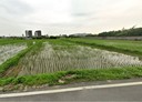 新豐鄉-土地，695.8坪