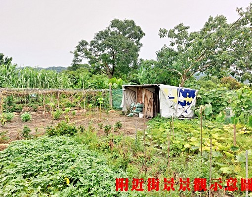 物件圖片