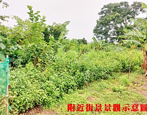 物件圖片