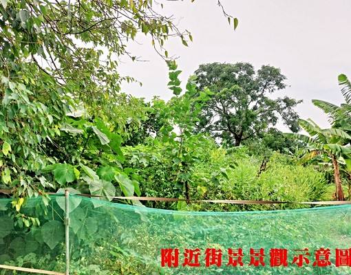 物件圖片