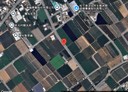 名間鄉-土地，111.9坪