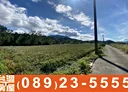 鹿野鄉-土地，907.5坪