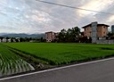 三星鄉-土地，549坪