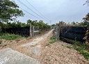 官田區-土地，572.3坪