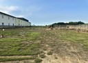 新屋區-大牛欄段土地，740.2坪