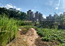 淡水區-土地，1030.5坪