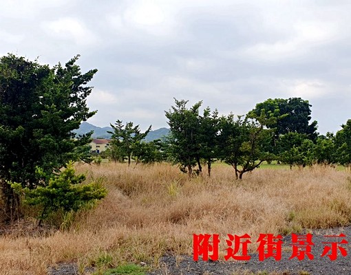 金牌業務推薦~柑園臨路農地