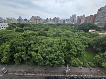 中安街讓你看萬坪公園樹海💖..