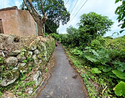 淡水坪頂段丙建農地