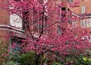 林口區-麗園路6房2廳，75坪