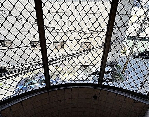 復興/興大☀全新漂亮大空間☀採光大衛浴☀採光大陽台☀便宜租 - Image 11