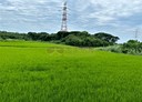 觀音區-土地，3161坪