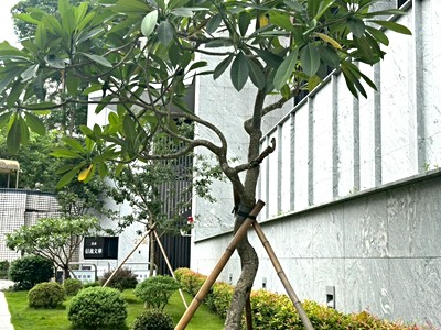 社區圖片