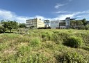 八德區-興豐段土地，723.9坪