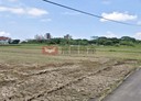 頭份市-土地，899.3坪