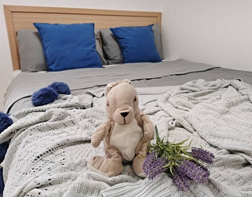 新莊捷運/全聯1分鐘,電梯雅房分租 - Image 7