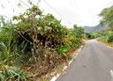 東河鄉-土地，1007.1坪