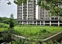 龍潭區-南龍段土地，311.6坪