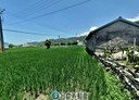 苑裡鎮-土地，457坪