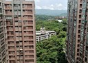 信義區-深澳坑路1房1廳，12.8坪
