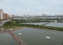 安南區-土地，524.6坪