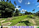 東區-土地，52.3坪