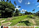 東區-土地，104.7坪