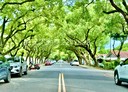 南投市-大崗段土地，127.8坪