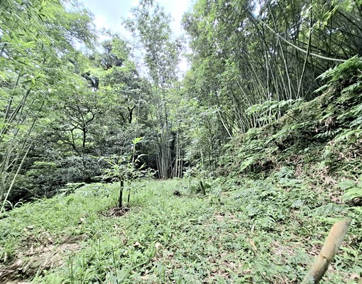 物件圖片