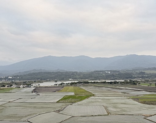 台東縣池上鄉電梯華廈房間出租 - Image 3