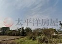 新屋區-文化路二段土地，619.5坪