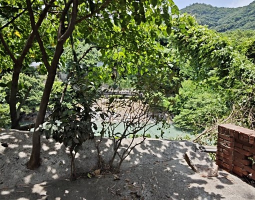 新北投超大庭院一樓 - Image 5