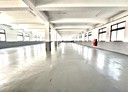 龜山區-興業街廠房，1480坪