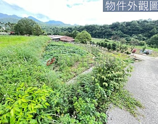 物件圖片