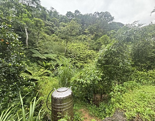 物件圖片