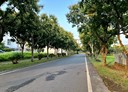宜蘭市-土地，122.5坪