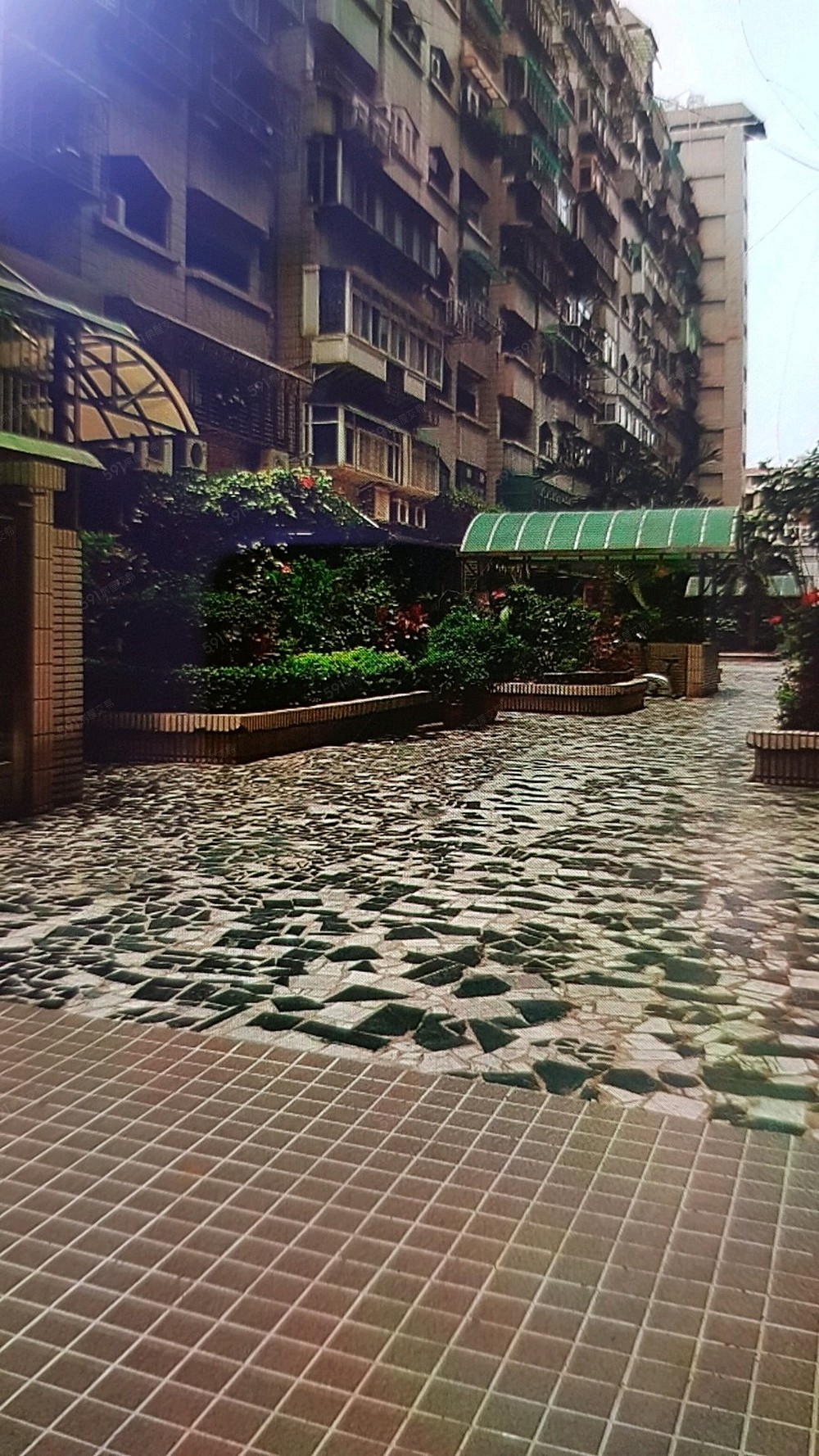 照片
