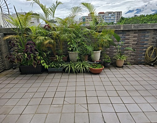 花蓮後站自強國中優質獨立套房出租（近慈濟大學、慈濟醫院） - Image 4