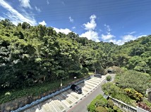 大湖山莊街177巷🌳【靜巷綠..
