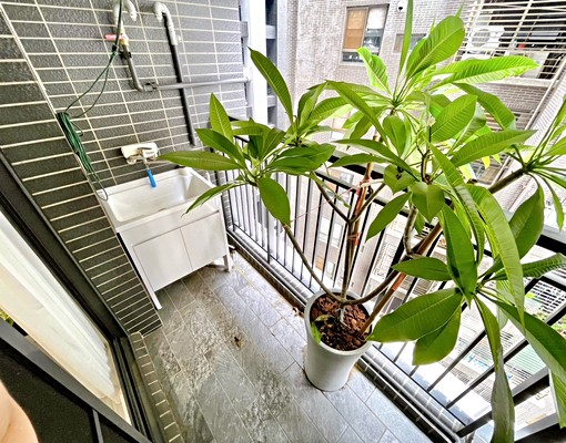 🎄大毅人人幸福⚡️美可雙租補三房平車家具電可談超推質感社區 - Image 14