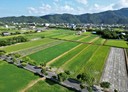 三星鄉-土地，1235.6坪