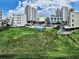 實景圖(3)